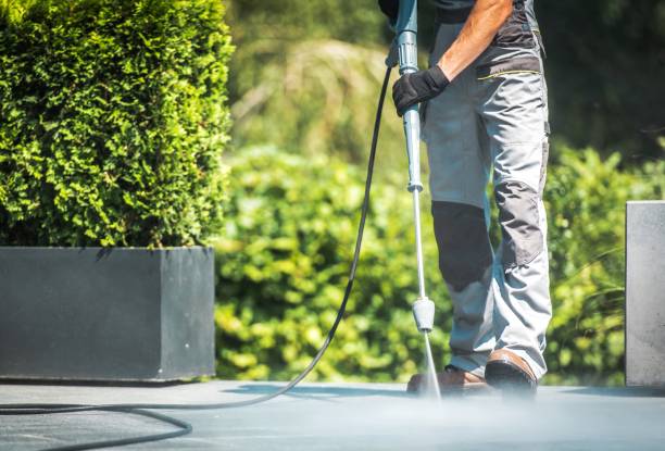 Trusted Hidalgo, TX Pressure Washing Experts